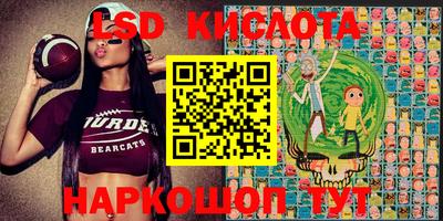прущие грибы Гусев