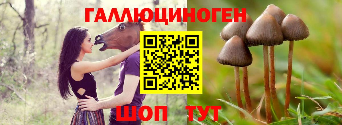 Галлюциногенные грибы мухоморы  дарнет шоп  Волгодонск  Галлюциногенные грибы мицелий  Вход с VPN 